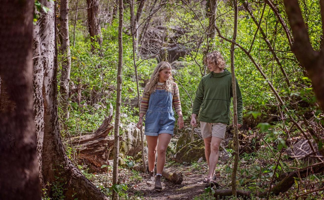 Eden Cabin Forested Tiny Home On Lookout Mtn Chattanooga Exteriör bild