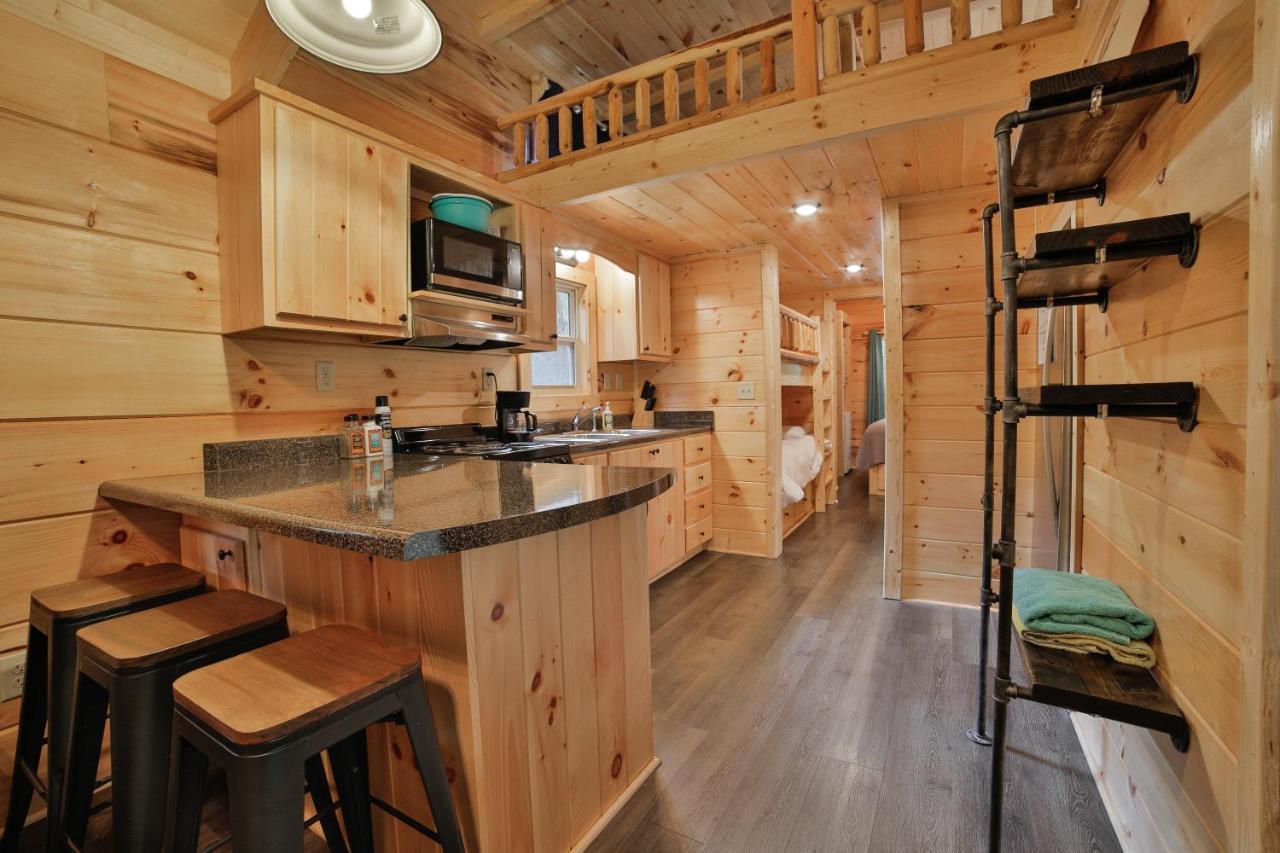 Eden Cabin Forested Tiny Home On Lookout Mtn Chattanooga Exteriör bild