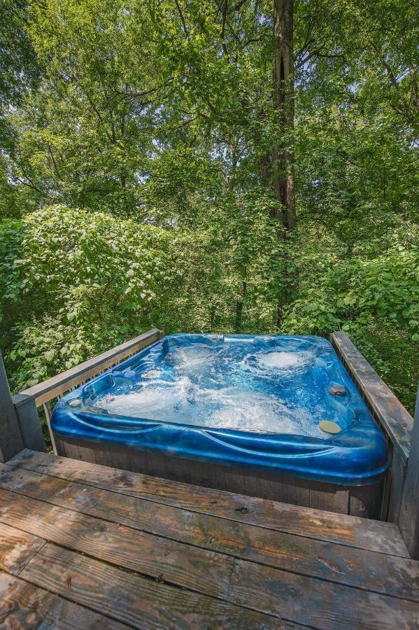 Eden Cabin Forested Tiny Home On Lookout Mtn Chattanooga Exteriör bild